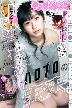 斛珠夫人免费观看全集